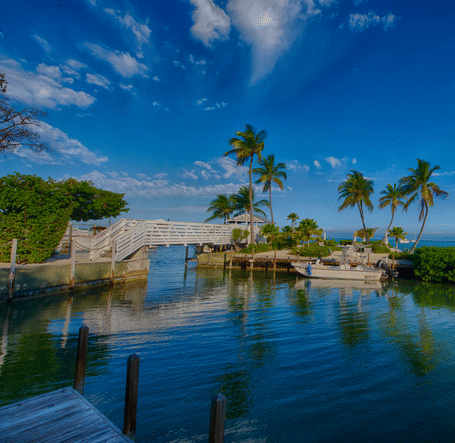 Casa Morada waterfront with palm trees, pier, dock, and waterway under clear sky.