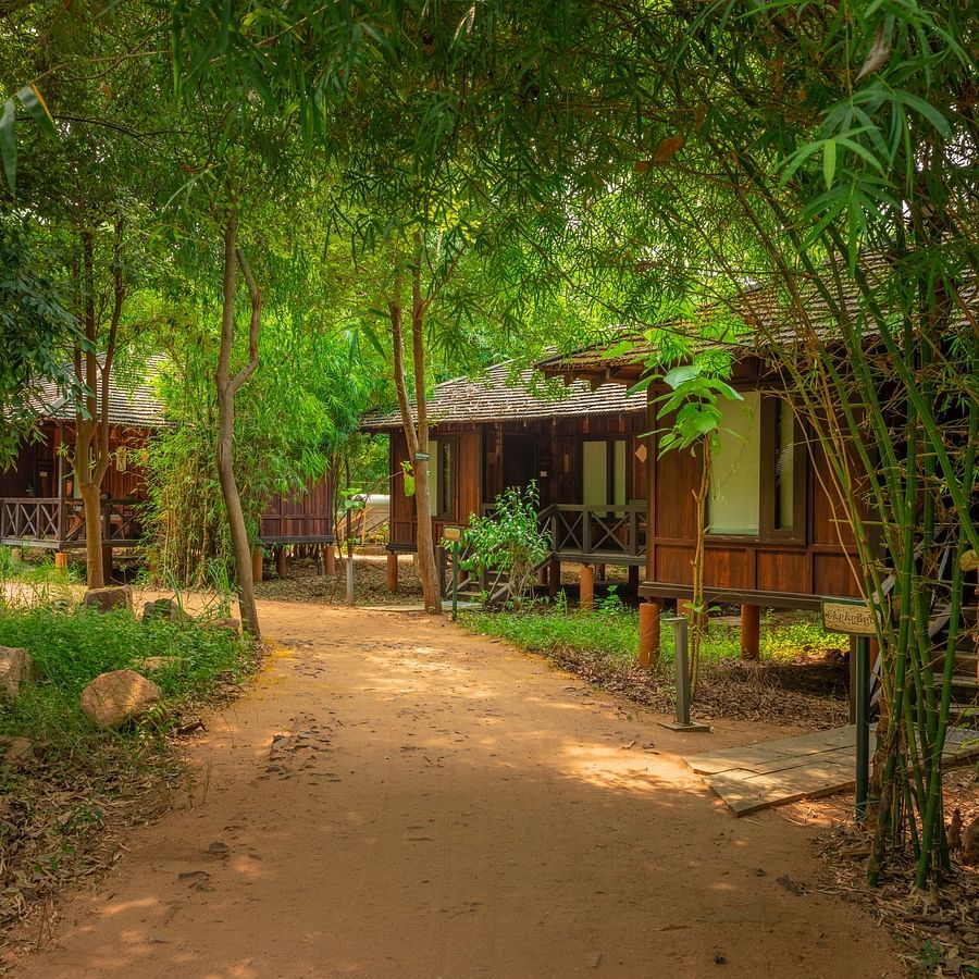 Tendu Leaf Jungle Resort-62