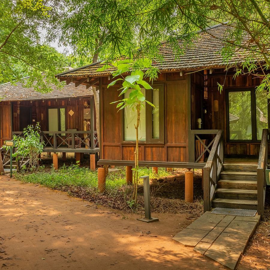 Tendu Leaf Jungle Resort-63