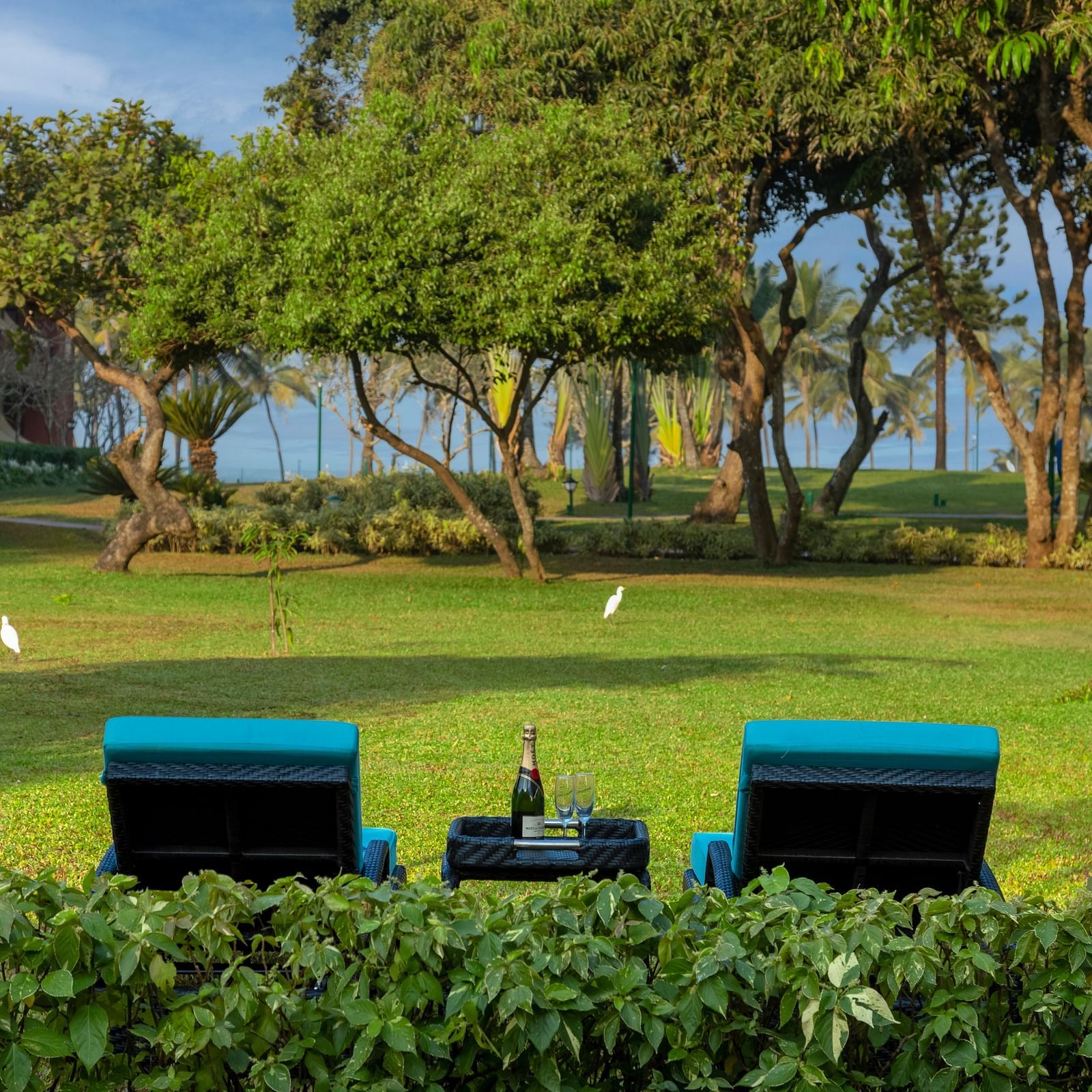 two loungers on the garden inside 2 Bedroom Garden Villa - Caravela Beach Resort Goa