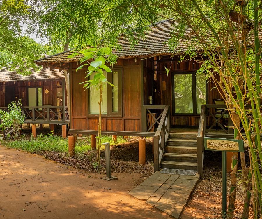 Tendu Leaf Jungle Resort-63