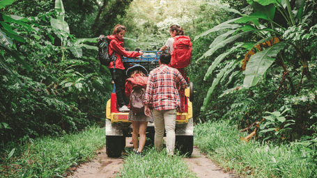 People standing on the back of a jeep on a forest track.