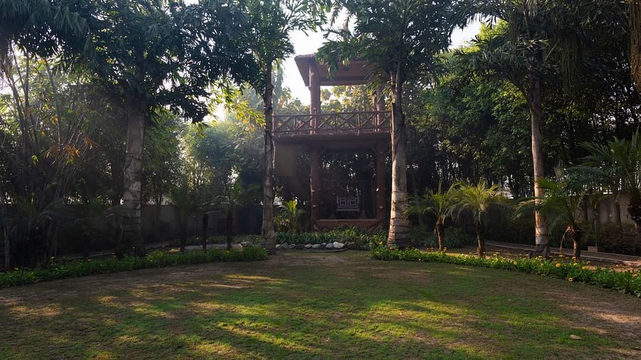 An image of a garden surrounded by tall trees at BluSalzz Resort.