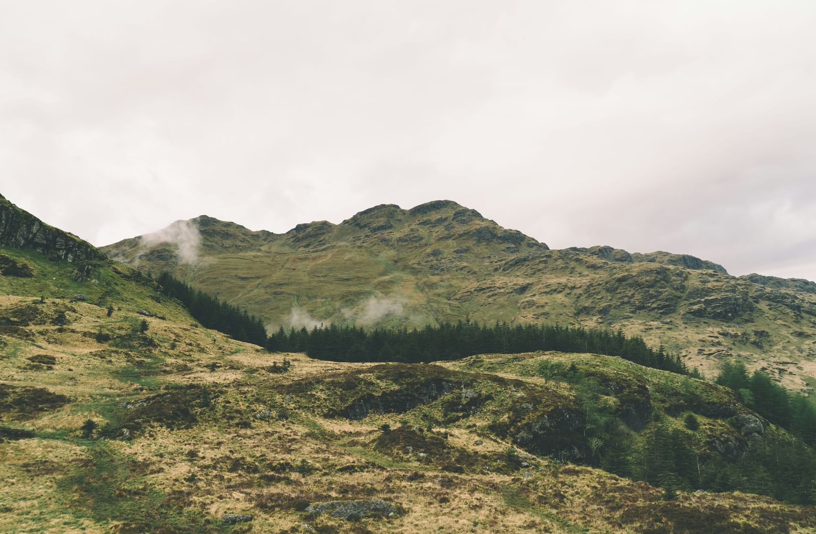 A wide, blurred shot of rolling green hills, covered in light brown and dark green foliage, under a pale sky.