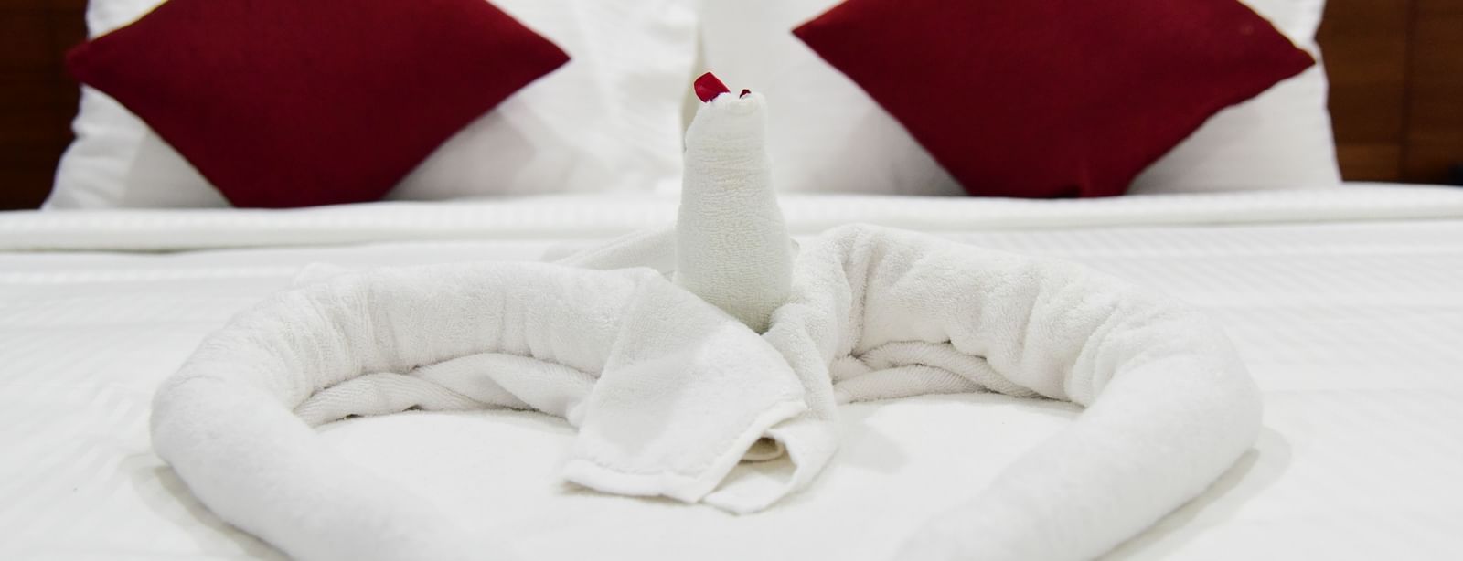 A spacious studio room at The Royal Comfort, showcasing a well-appointed king-sized bed with white linens and dark red accent pillows.