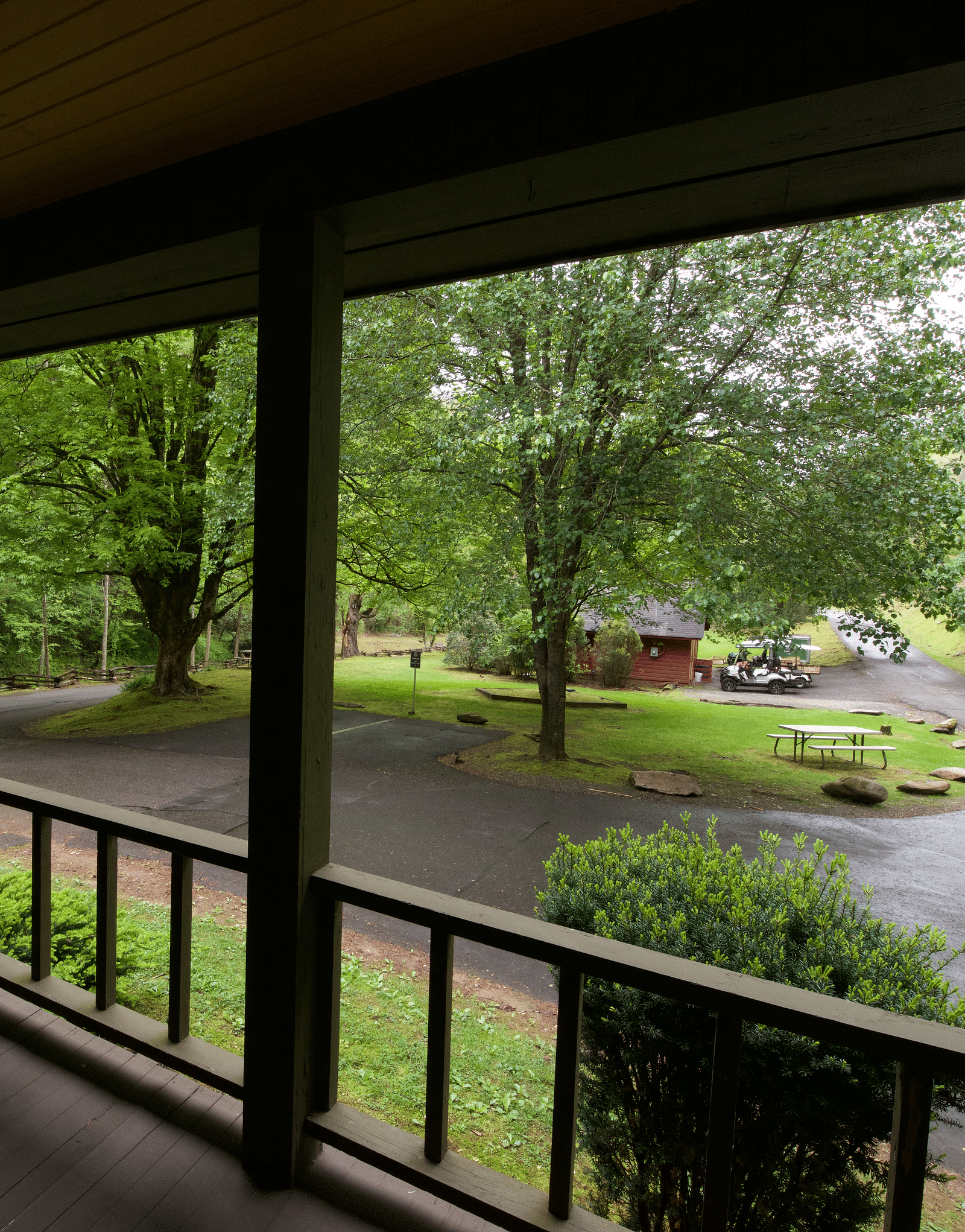 a wooden porch overlooking a small roadway turning through the lush green canopy of the forest