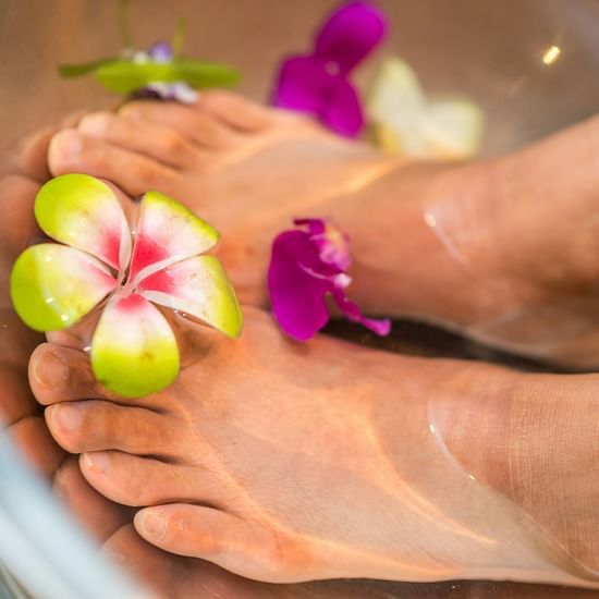 Woman’s feet in a pedicure tub with water and floating flowers