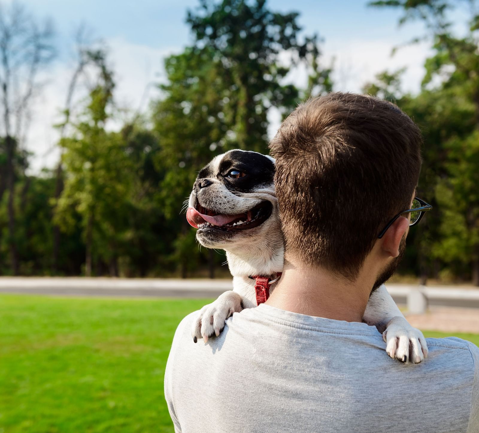 A person with short brown hair carries a black and white dog on their shoulder in a park with green grass and trees.
