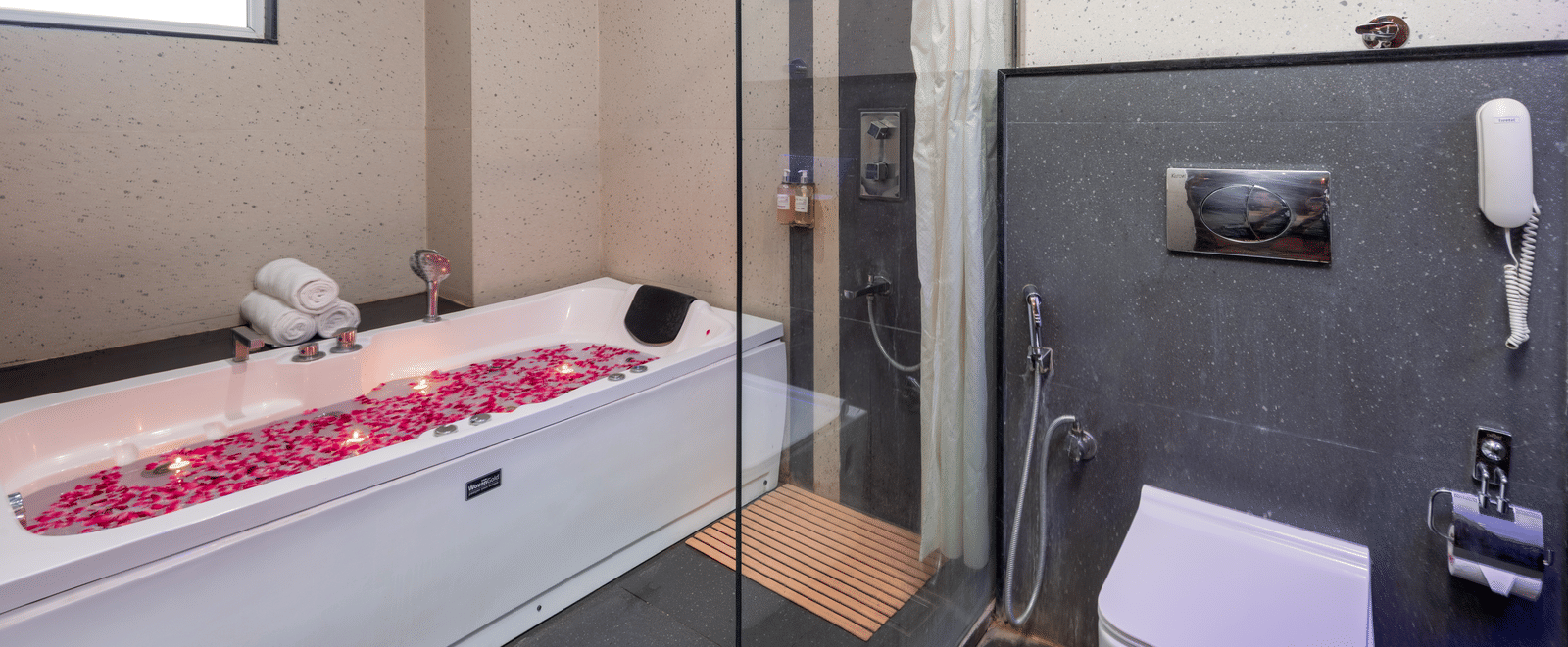 Bathroom with glass shower and bathtub at DLS Hotels On The Ganges.