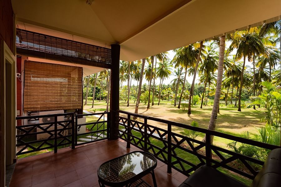 view from the balcony of the coconut trees inside Suite  - Ibex River Resort, Pollachi