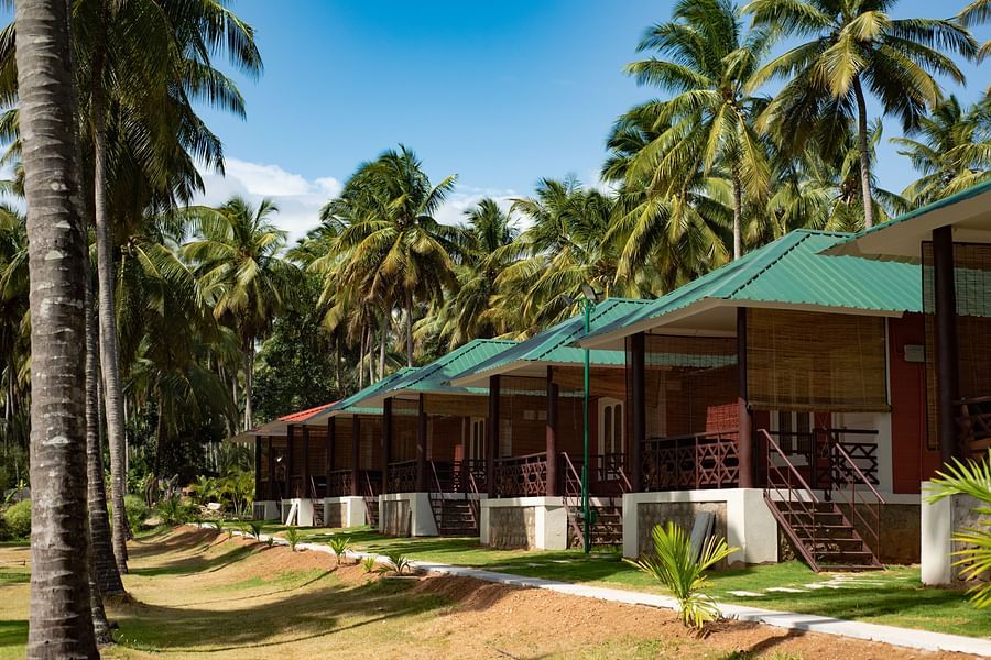 block of the Suite Rooms with coconut trees covered on the side at Ibex River Resort, Pollachi