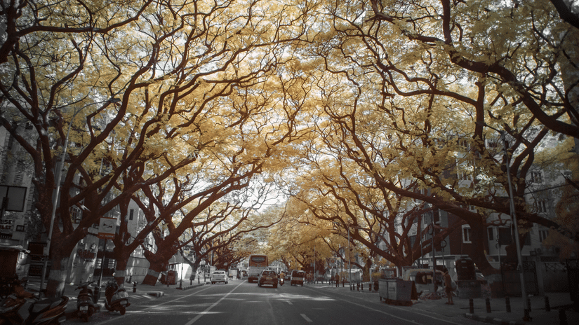 v-srinivasan-7sGrDz1Eh2s-unsplash