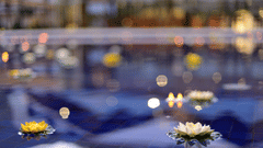 Interior view Marasa Sarovar Premiere Tirupati Best Hotels in Tirupati Sarovar Hotels 7