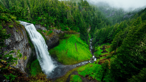 An overview of a forest in the background and a waterfall in the foreground