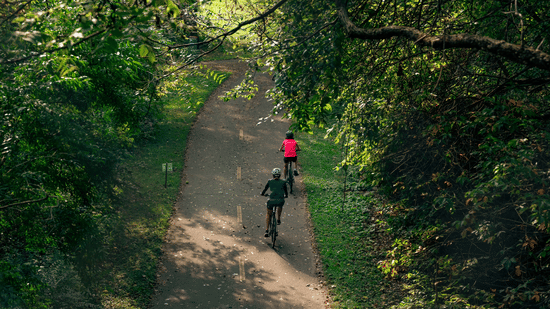2 cyclists riding down a paved pathway that winds through a dense forest of tall, green trees.