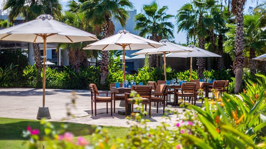 A garden side view of a seating arrangement placed in a veranda with sun shades to protect from sun - Alibu Resort Nha Trang 