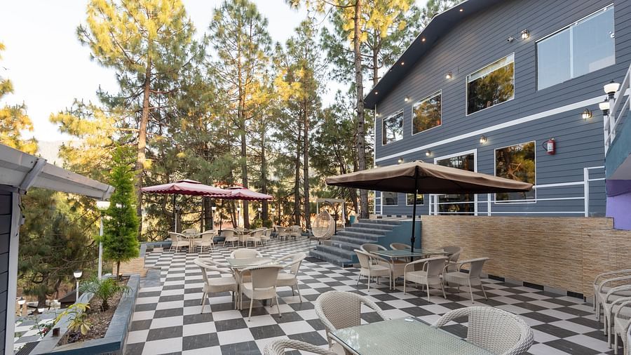 An outdoor patio with a black-and-white checkered tile floor features round tables, wicker chairs, and large brown umbrellas. It's surrounded by tall pine trees and a multi-story grey building with large windows. - DLS Nature Trinket Resort, Dalhousie.