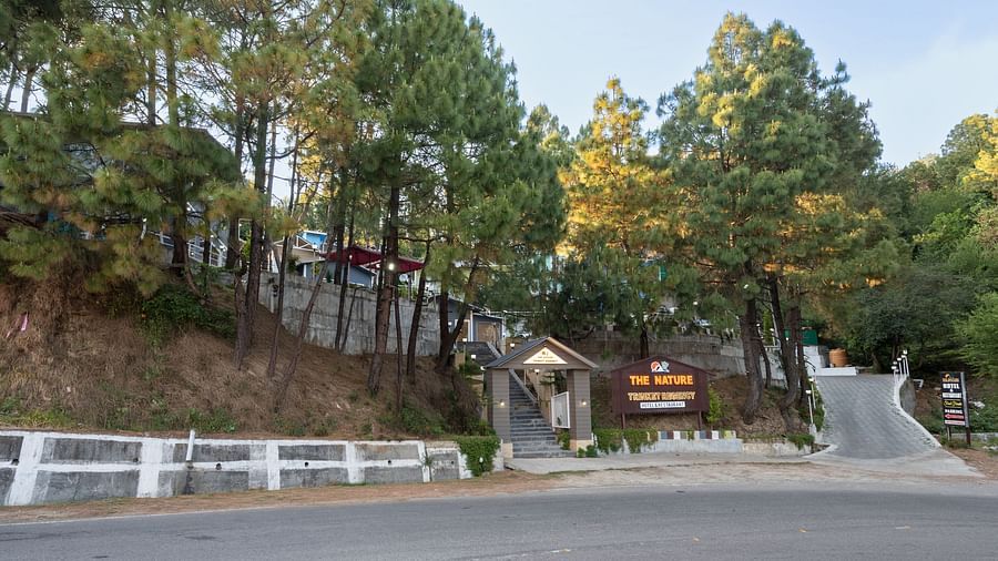 Entrance to a hillside resort surrounded by pine trees, with a paved road and signage visible near the main gate - DLS Nature Trinket Resort, Dalhousie.