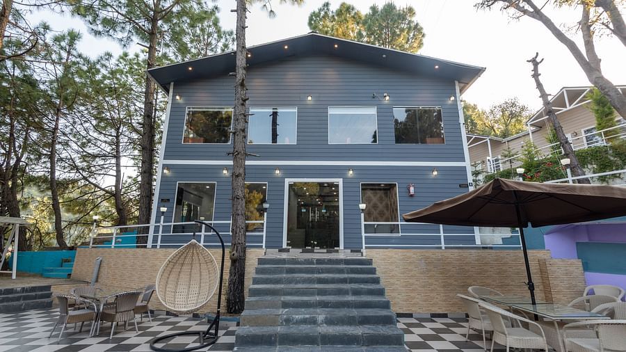 A modern two-story building with a dark blue facade and large windows, set against a backdrop of tall pine trees, with a central staircase leading to an outdoor seating area featuring woven chairs, tables, and umbrellas on a checkered patio - DLS Nature Tr