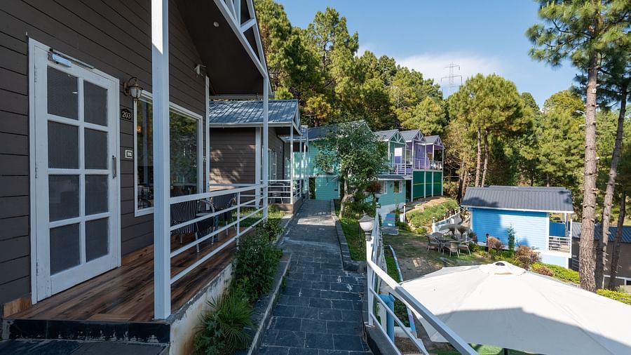 A row of modern holiday cottages with front verandas and white railings, situated along a stone pathway amidst pine trees and landscaped greenery in a tranquil hillside setting - DLS Nature Trinket Resort, Dalhousie.