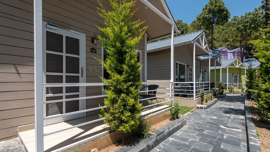  Row of modern wooden cottages with white railings along a stone-paved walkway, surrounded by greenery and tall trees under a clear blue sky - DLS Nature Trinket Resort, Dalhousie.