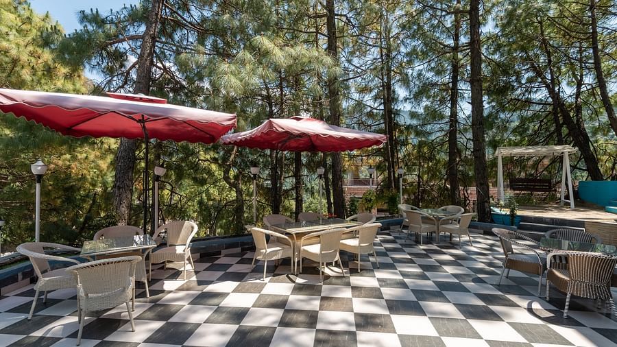 Outdoor patio with black-and-white checkered flooring, red umbrellas, and seating surrounded by tall trees - DLS Nature Trinket Resort, Dalhousie.