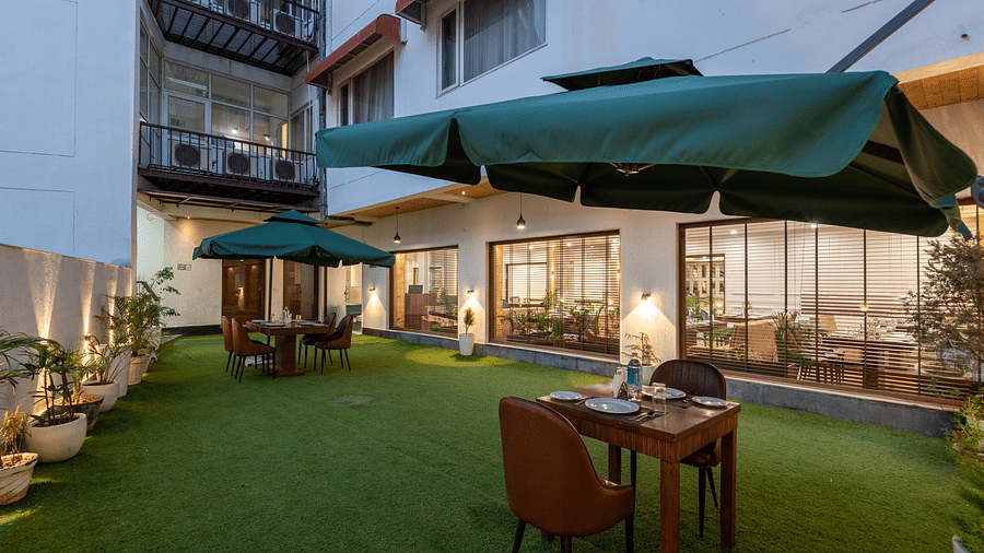 LAWN AREA 