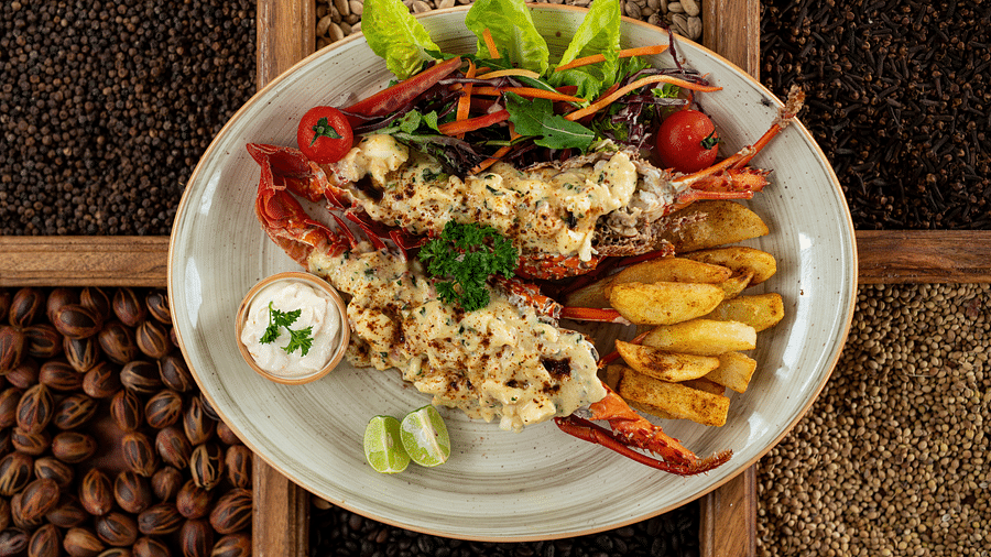 A seafood platter with grilled lobster, garnished with fresh herbs, served with a side of salad and potato wedges at Shooting Star Boutique Hotel