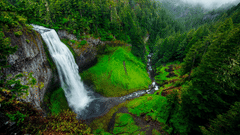 An overview of a forest in the background and a waterfall in the foreground