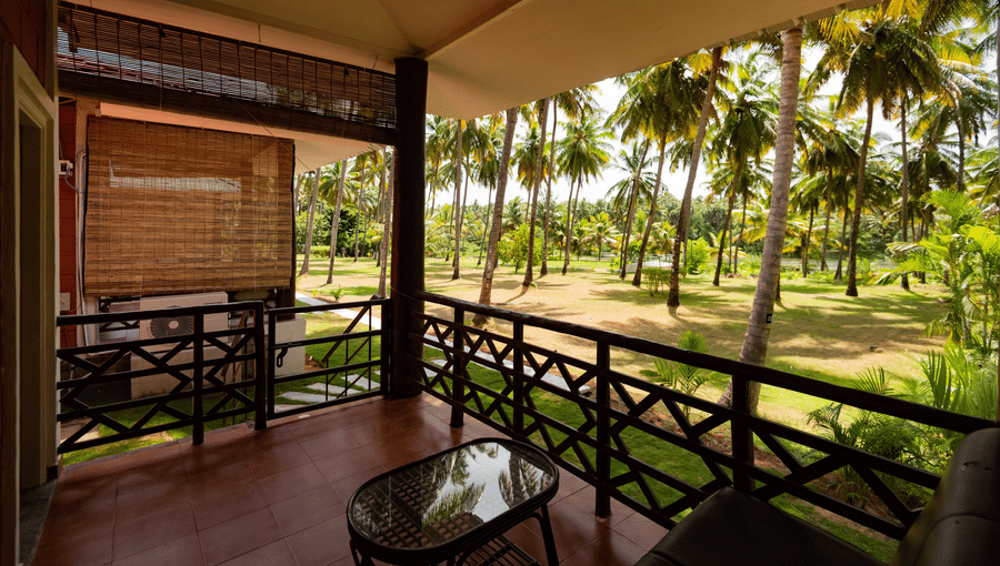 view from the balcony of the coconut trees inside Suite  - Ibex River Resort, Pollachi