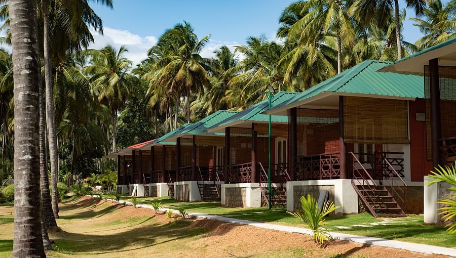 alt-text block of the Suite Rooms with coconut trees covered on the side at Ibex River Resort, Pollachi