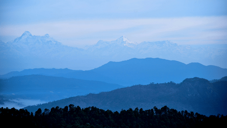 Snow-capped Himalayan peaks beyond layered blue ridges, with a dark conifer treeline in the foreground, in the landscape near The Chamomile Estate.
