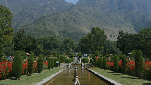 An image of Nishat Bagh with the Zabarwan Mountains as the background
