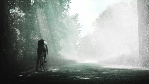 A person cycling in the woods