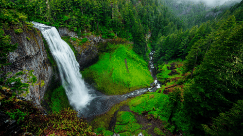 An overview of a forest in the background and a waterfall in the foreground
