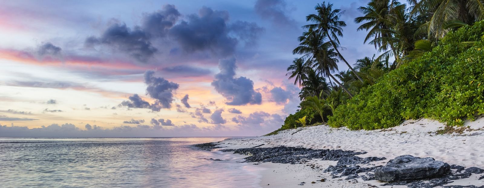 overview of a beach with coconut trees on one side and evening sky in the background