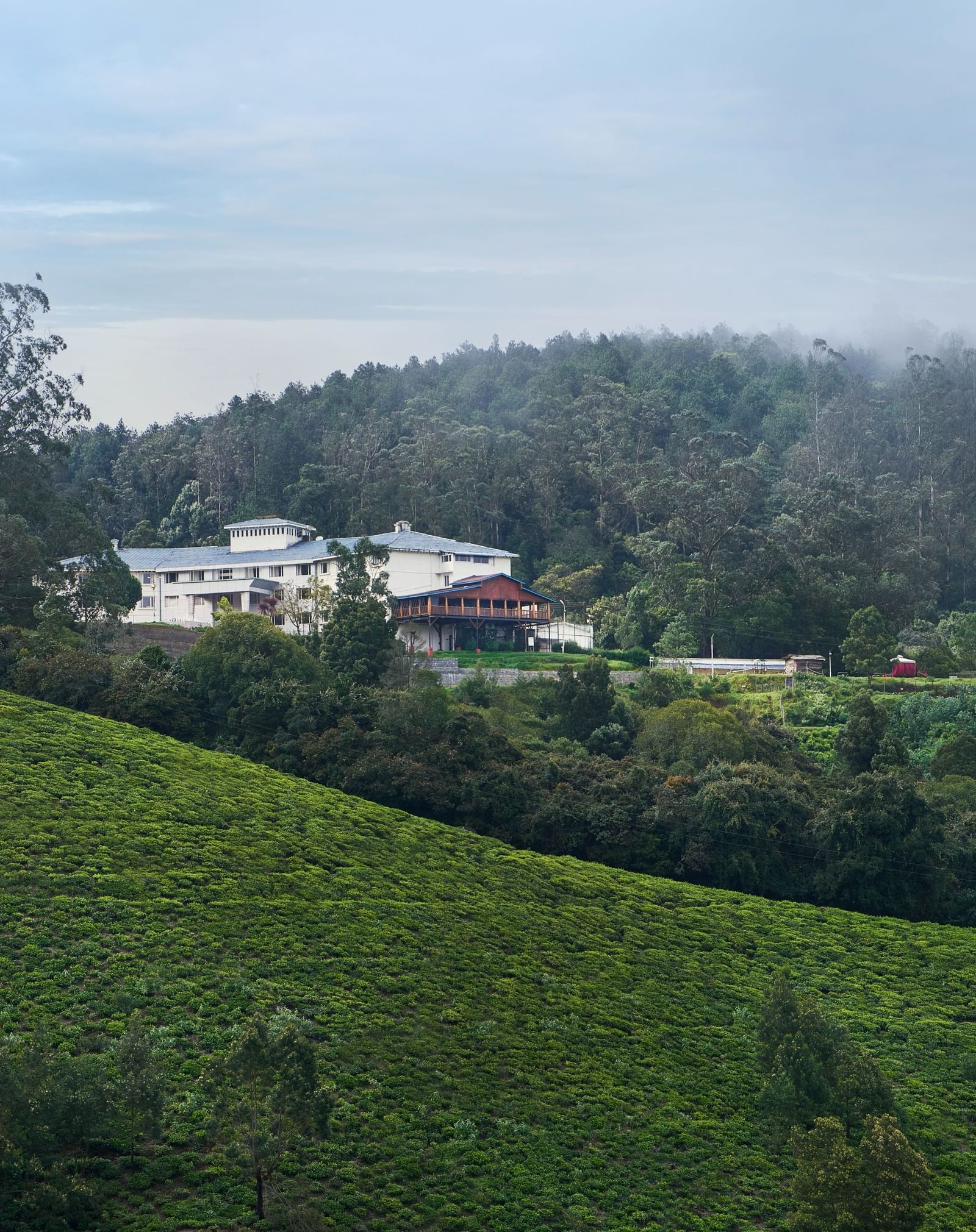 A wide view of Accord Highland Ooty with a hill in the foreground and a forest in the backdrop - Hotel in Ooty
