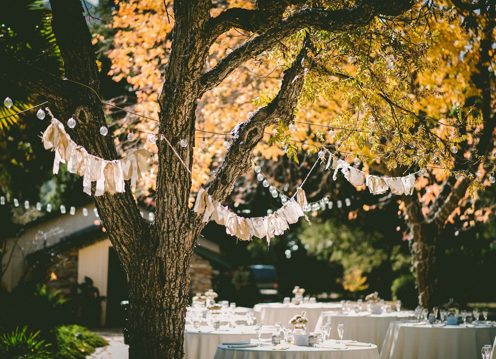 Image of a lawn decorated for a party