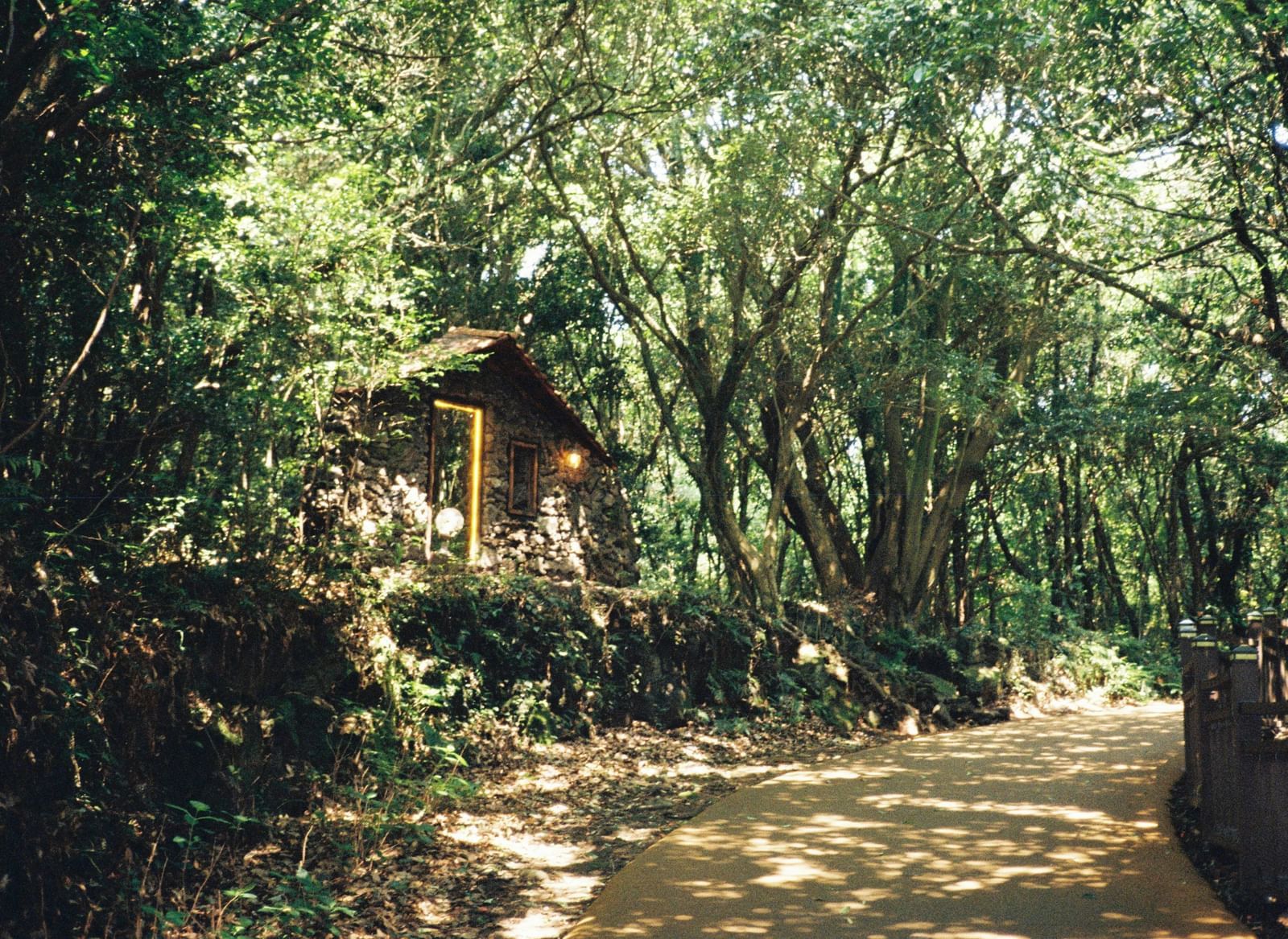A shaded dirt track or pathway through a dense jungle or forest, with a hidden wooden hut visible among the foliage.