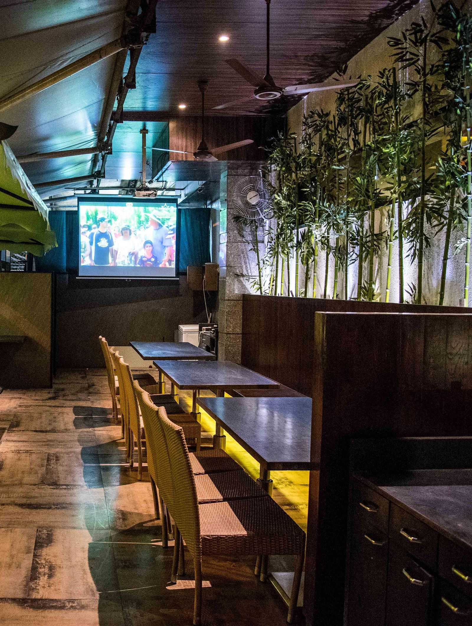 Modern restaurant featuring wooden chairs, tables, and a wall with plants hanging as decoration at Oriental Aster, Mumbai.