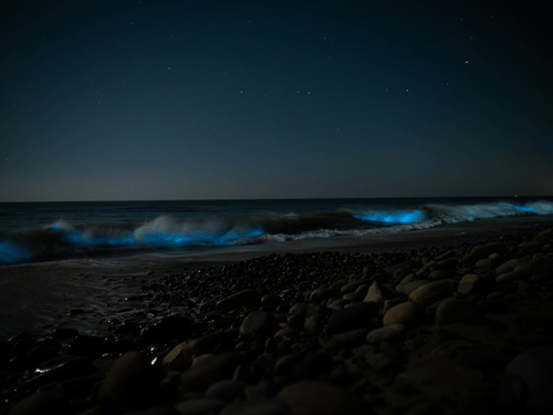Blue bioluminescent waves rolling onto a rocky beach at night beneath a clear starry sky.