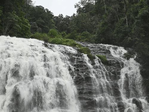 Foaming white water cascades over a wide rock face, surrounded by a dense green forest canopy under a grey sky.
