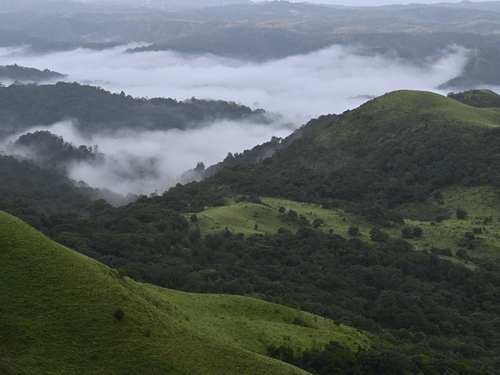 An aerial view of the western ghats with green fields and clouds visible through the fields.