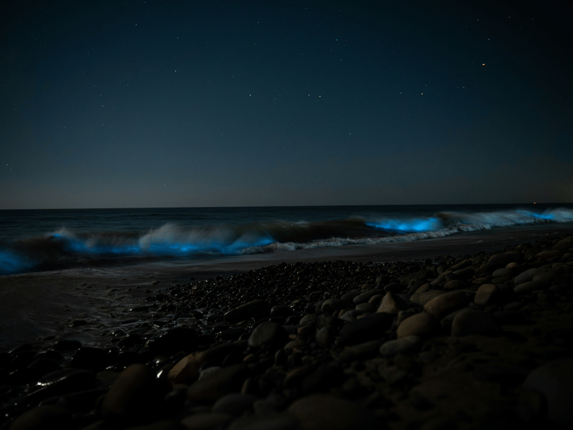 Blue bioluminescent waves rolling onto a rocky beach at night beneath a clear starry sky.