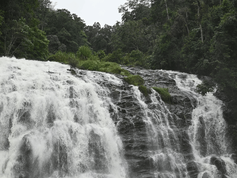 Foaming white water cascades over a wide rock face, surrounded by a dense green forest canopy under a grey sky.