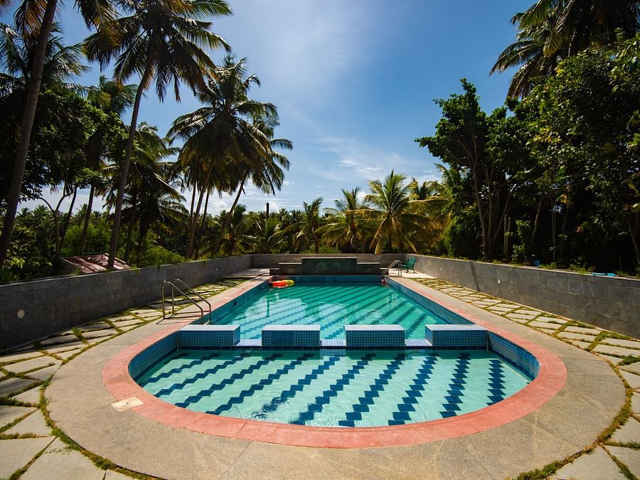 an overview of the Swimming Pool with trees on the side  - Ibex River Resort, Pollachi