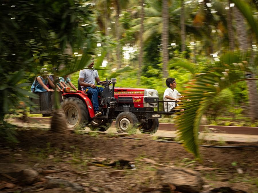 kids riding a Tractor with coconut trees in the background  - Ibex River Resort, Pollachi