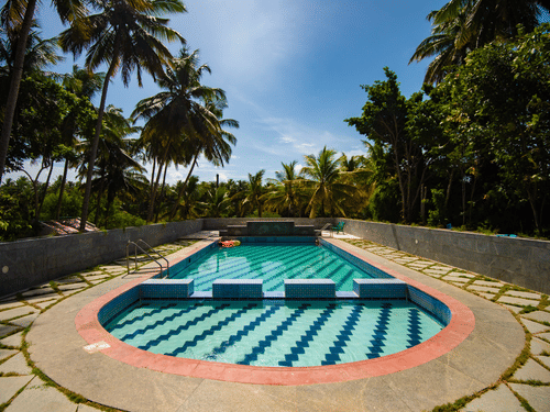 Swimming pool with crystal clear water and trees in the surrounding on a sunny day at Ibex River Resort, Pollachi