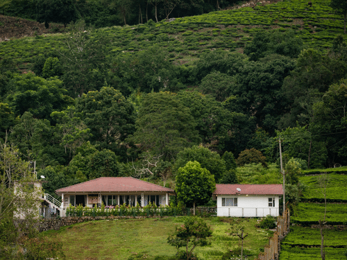 Exterior of Ibex Resorts, Kotagiri nestled in a lush green valley with a terraced hill in the centre of the forest.