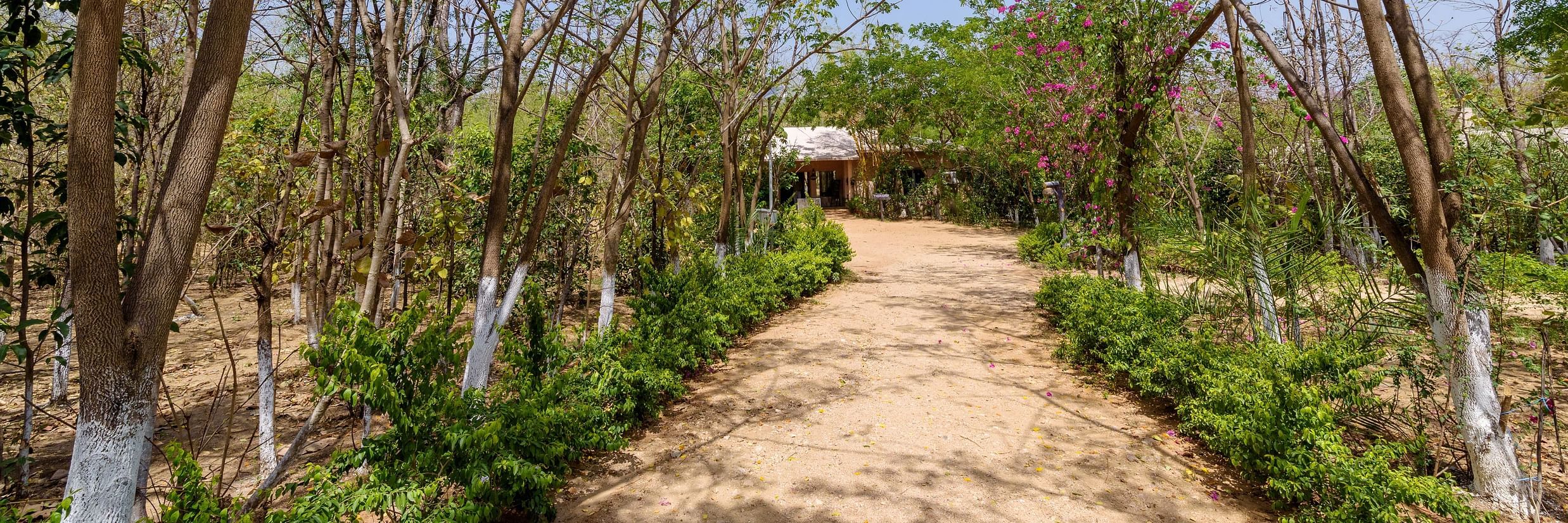 A wide angle view of the entrance of resort in Pench | The Riverwood Forest Retreat, Pench